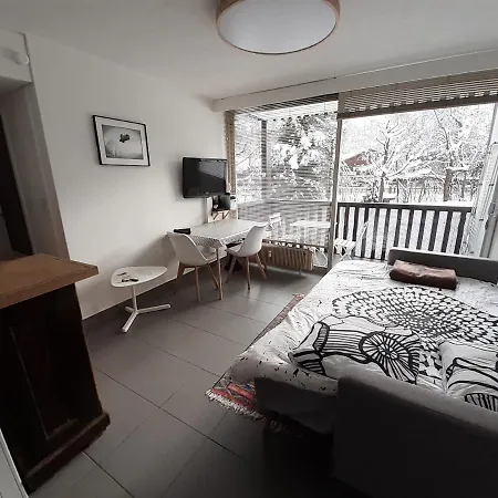 Apartment Quartier Calme Centre Vue Mont Blanc Chamonix