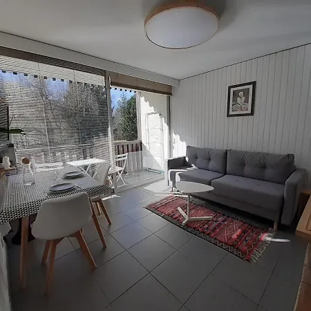 Apartment Quartier Calme Centre Vue Mont Blanc Chamonix